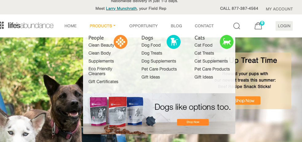 A screenshot of a website

Description automatically generated