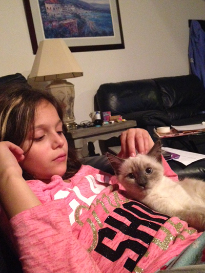 siberian kitten Ernie watkins