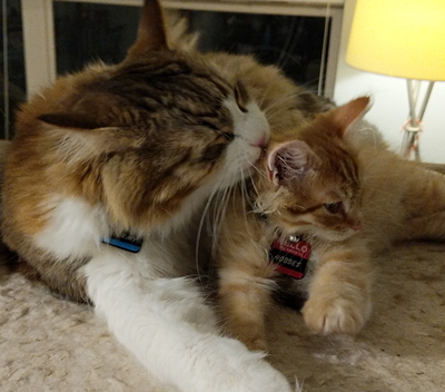 Hobbs Busbee and friend