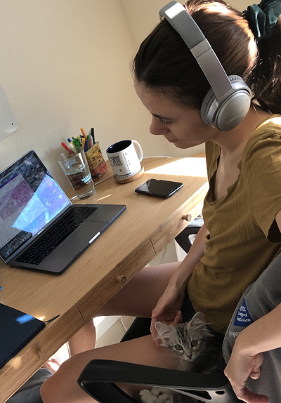 Snufikn Burt office help