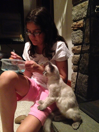 Ernie watkins kitten